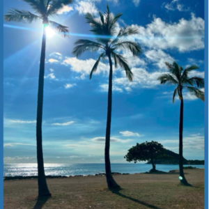 Journal: Hawaiian Beach